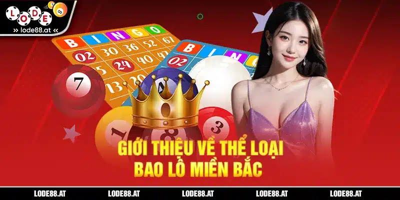 Giới thiệu về thể loại bao lô miền Bắc