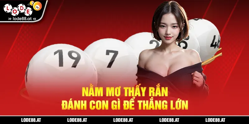 Nằm mơ thấy rắn đánh con gì để thắng lớn